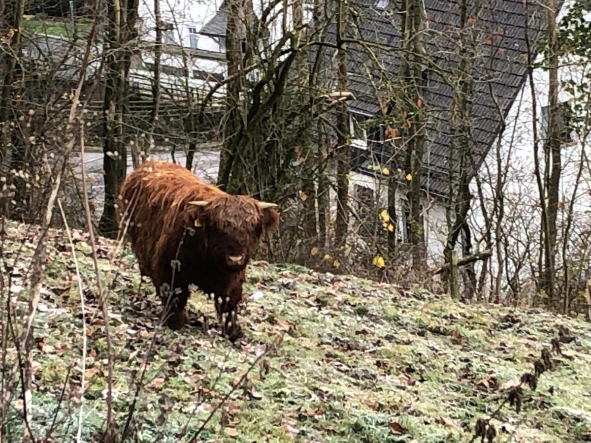 Ferienwohnung Koelbel Familienurlaub In Der Natur Schmallenberg Eksteriør billede